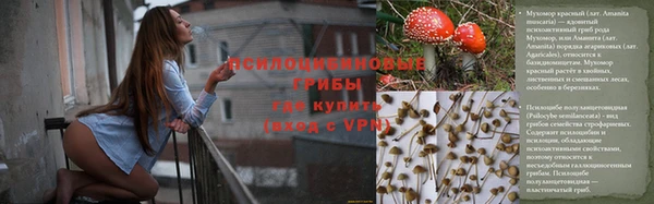 мяу мяу мука Орехово-Зуево