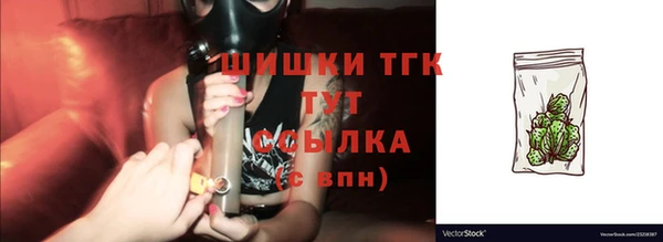 тгк Дмитров