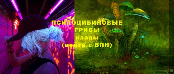 гидропоника Ельня
