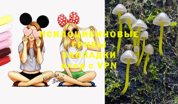 скорость Дмитриев
